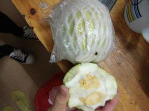 甜蜜瓜需要削皮吃吗,是否需要削皮食用揭秘